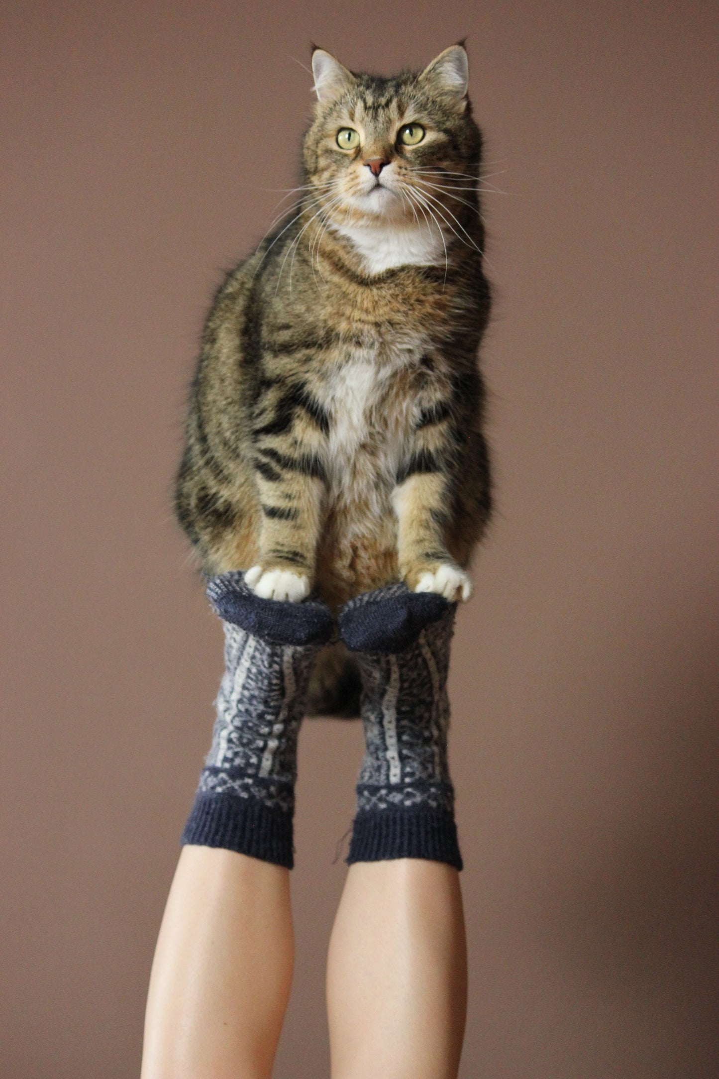 Sock Club - Winter '23 (Preorder)