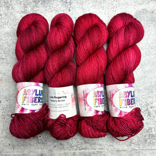 Cranberry Harvest on Luxe Fingering - Ready to Ship