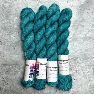 Age of Aquarius on Merino Fingering Minis - Ready to Ship